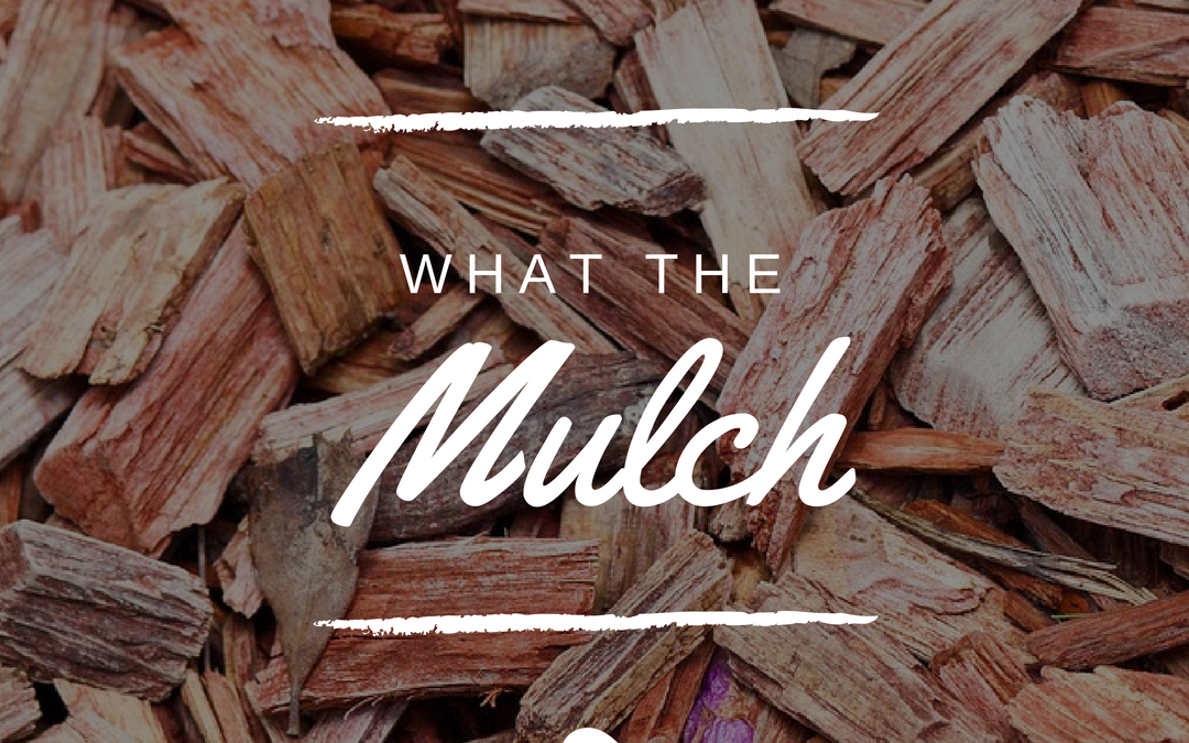 What The Mulch?